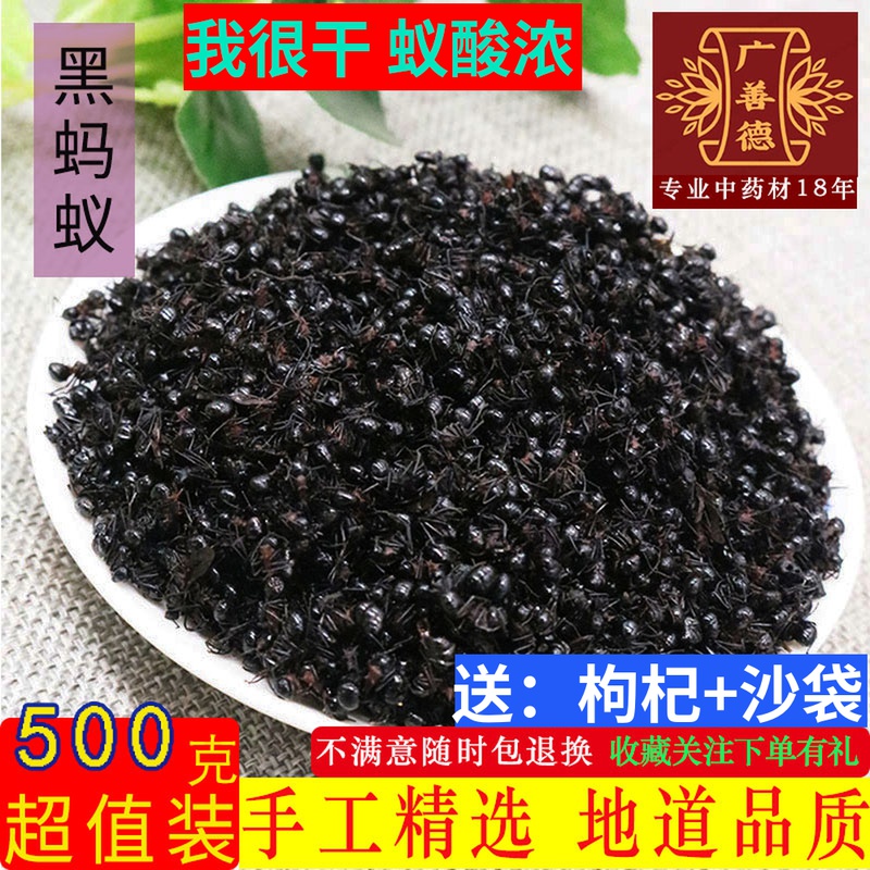 广西黑蚂蚁横县500g拟黑多刺蚁非长白山中药材干晒养身泡酒料磨粉 传统滋补营养品 蚂蚁 原图主图