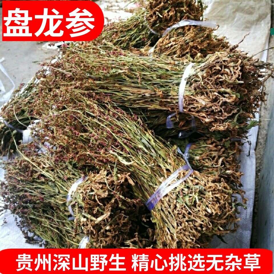 贵州盘龙参中药材正品野生晒干苗绶草龙鲤鱼草海珠草猪辽参鸡爪参