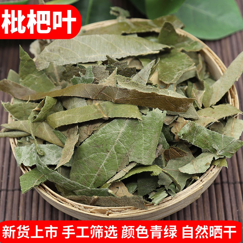 广西新鲜琵琶叶中药材