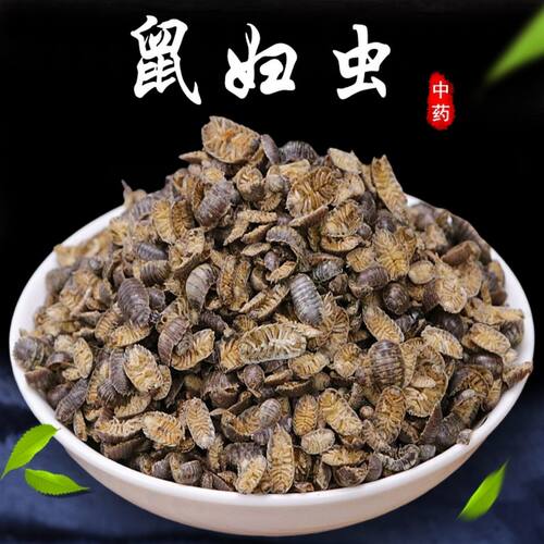 鼠妇中药材潮虫地虱鼠负鼠姑