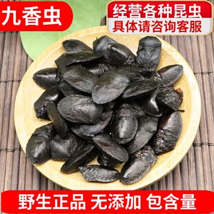 正品九香虫中药材打屁虫臭壳虫放屁虫50g蜣螂虫非野生售大天龙干
