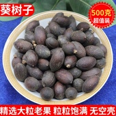 葵树子野生中药材500g精选广西大粒葵树籽老果葵扇子葵扇籽蒲葵籽