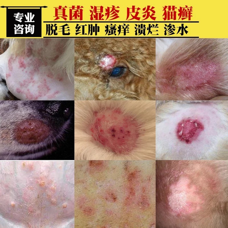 治疗狗狗真菌皮肤病外用药膏湿疹性皮炎瘙痒脱皮螨虫感染猫癣止痒-封面