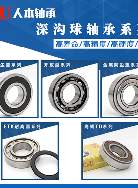 人本高速轴承TD6205电机6201 6202 6203 6204 6200 6206 6207 2RZ