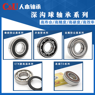 6306 6206 电机6203TD6308 6202 6204 6309防水6201 人本轴承6205