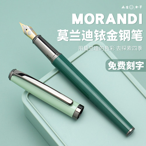 永生3561正姿墨囊钢笔