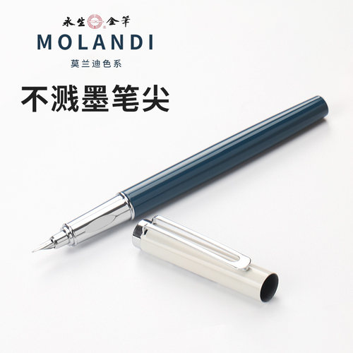 永生非碳素初学练字钢笔