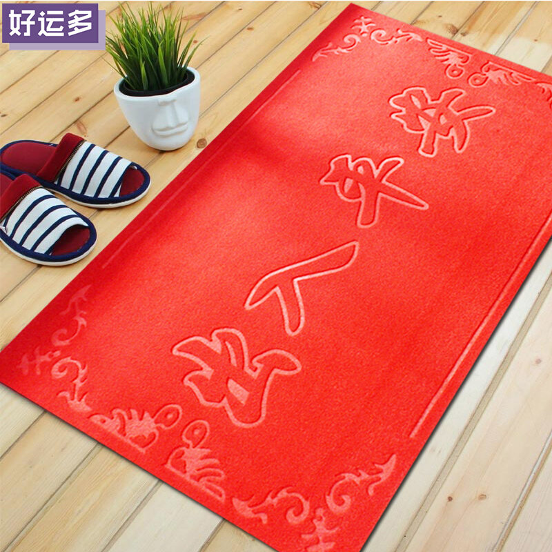 极速Door mat door mat home door mat foyer dooQrway carpet ab