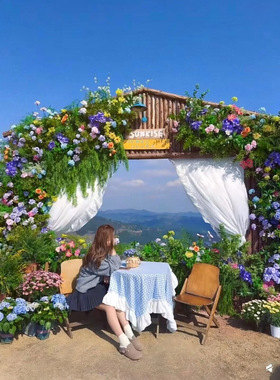 户外花园婚礼拱门花架订婚宴