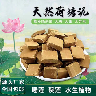 荷塘泥碗莲睡莲天然纯正塘泥荷花专用肥水盆栽水土培通用营养土