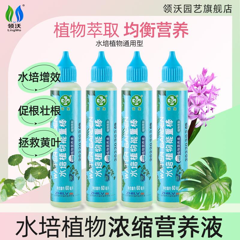 水培植物营养液种球风信子郁金香吊兰绿萝家用盆栽专用养花卉肥新