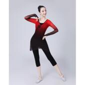 特价 古典舞练功服芭蕾舞蹈服成人女艺考中国舞演出服弹力上衣