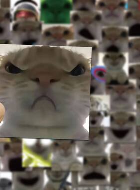 趣味搞怪无字发疯猫贴纸表情包diy手机ipad书桌学生上课无聊贴画