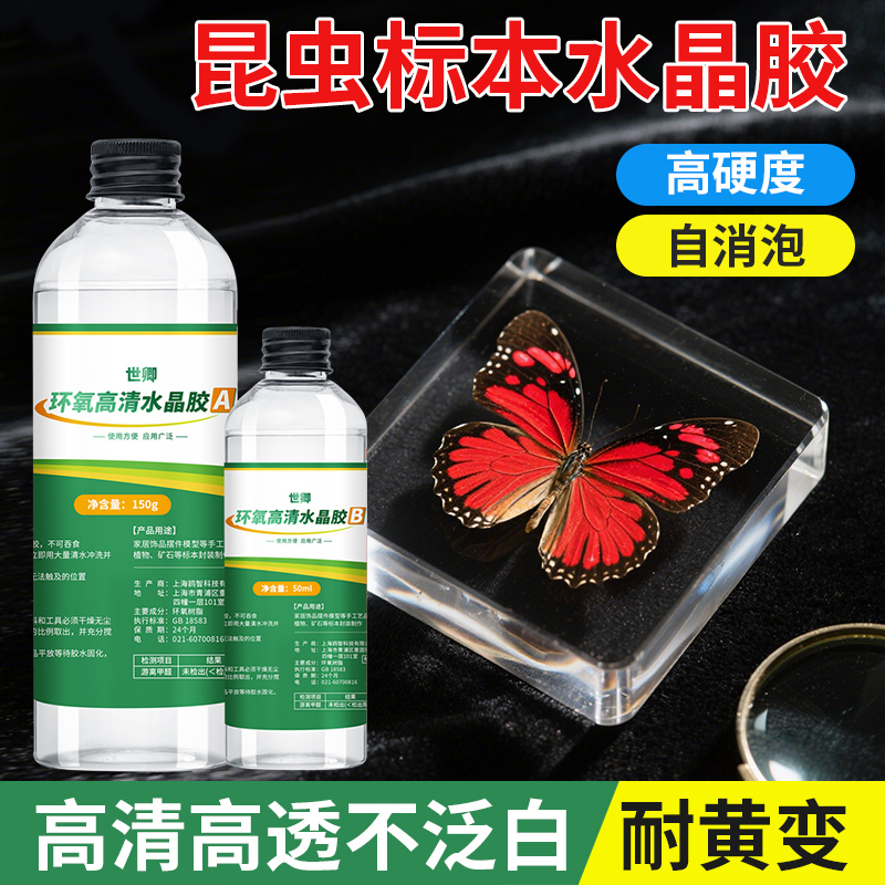 昆虫植物标本制作高清通透