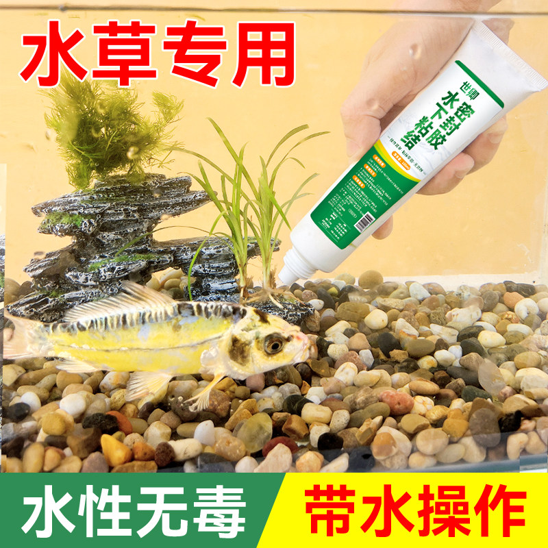 粘鱼缸假山水族水草造景专用胶水图片