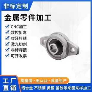 BDU04带座轴承 铸造型 BDU01