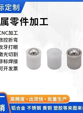 BSDS3 4 5 6 8 10  BSDA3 4 5 6 8 10 BSDB3 4 5 6  柱塞