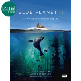 Blue 英文原版 海洋百科 科普读物 詹姆斯霍尼伯内 海洋生物纪实 BBC纪录片 全彩精装 又日新 蓝色星球II Planet