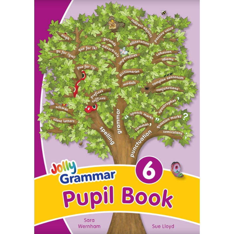 快乐语法6 学生用书 手写体字母 英式英语版 Jolly Grammar 6 Pupil Book In Precursive Letters 英文原版进口 又日新