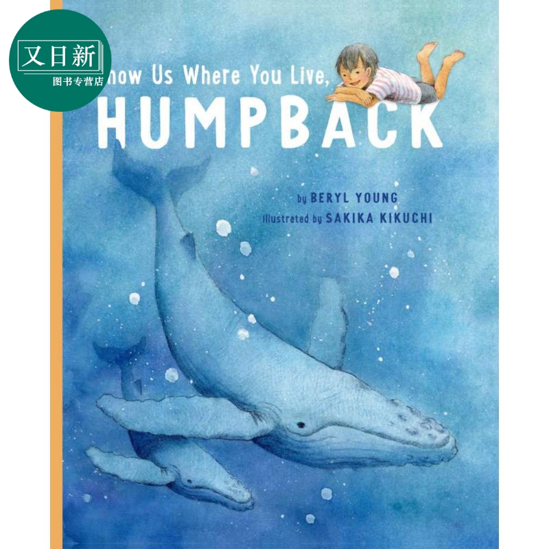 预售SakikaKikuchi座头