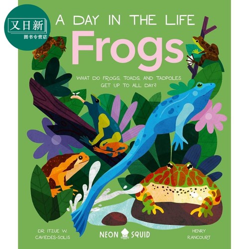 A Day in the Life:Frogs 一天的小生活：青蛙 英文原版 进口图书 儿童科普绘本 动物图画书 精装童书 知识百科 又日新