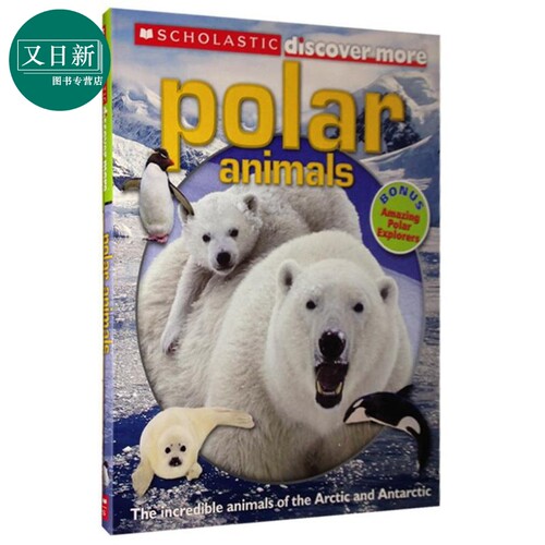 学乐大发现 极地动物 Scholastic Discover More POLAR ANIMALS 英文原版 儿童科普绘本 动物知识百科图画书 科学 又日新