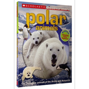 学乐大发现 极地动物 Scholastic Discover More POLAR ANIMALS 英文原版 儿童科普绘本 动物知识百科图画书 科学 又日新