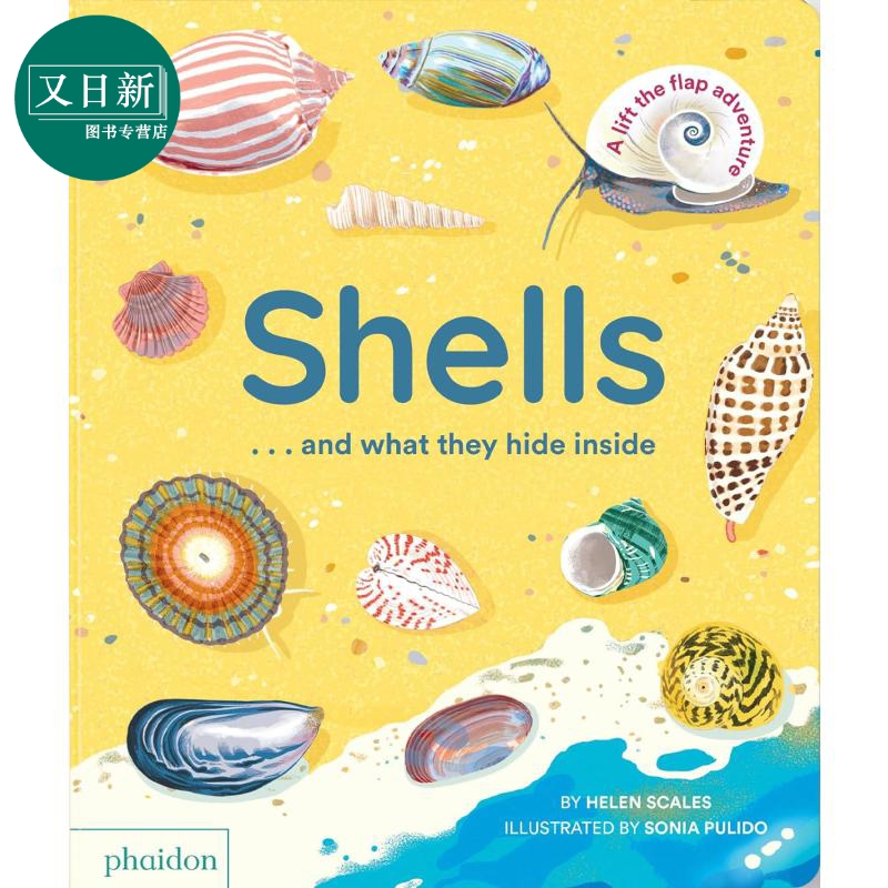 贝壳背后的秘密英文原版纸板书