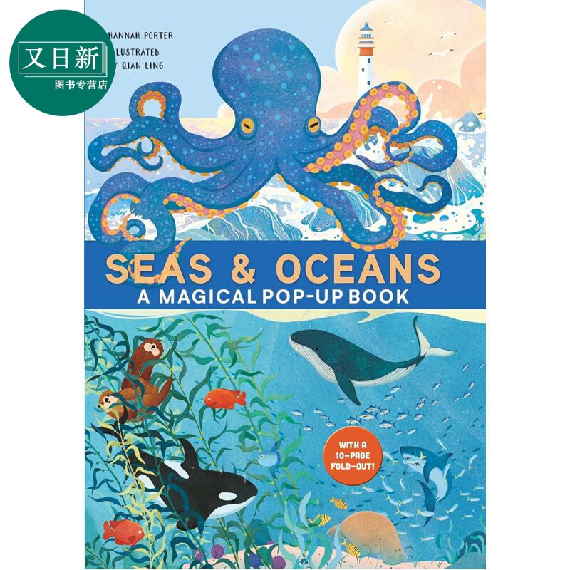 立体书：海洋与大海Pop-Up