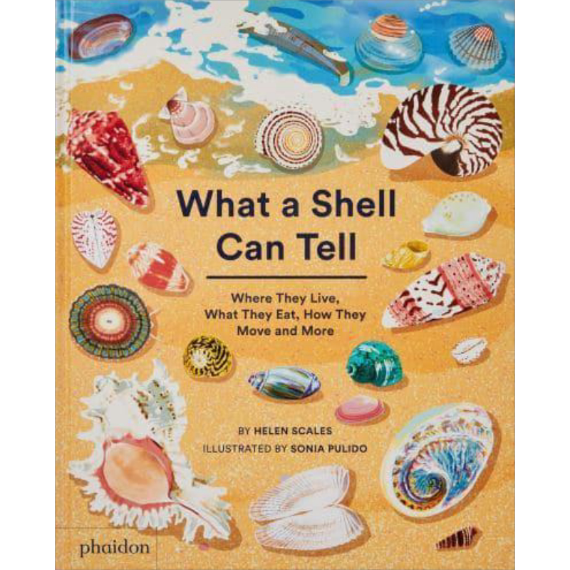 WhatAShellCanTel