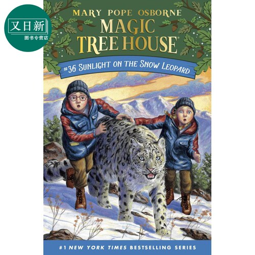 Magic Tree House 36 神奇树屋第一季36 英文童书 桥梁书章节书 中小学生课外读物 英文原版小初文学 又日新