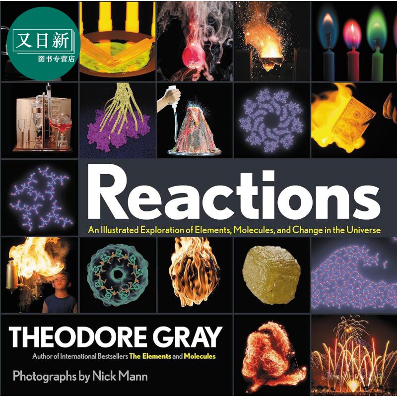 视觉之旅 奇妙的化学反应 Reactions An Illustrated Exploration 英文原版 Theodore Gray 又日新