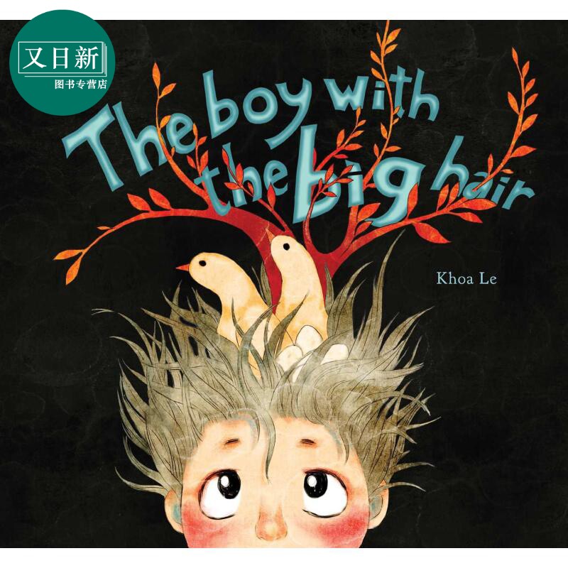 khoa le the boy with the big hair 蓬头发的男孩 英文原版 进口图书