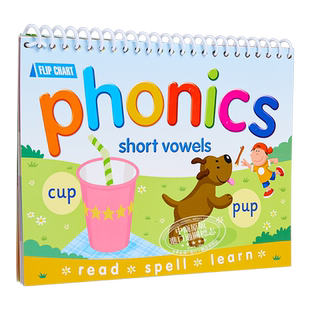Flipover Phonics Short Vowels 里奥船长自然拼读台历卡 短元音 cvc英语自然拼读卡片 小学英文音标台历翻翻卡教具