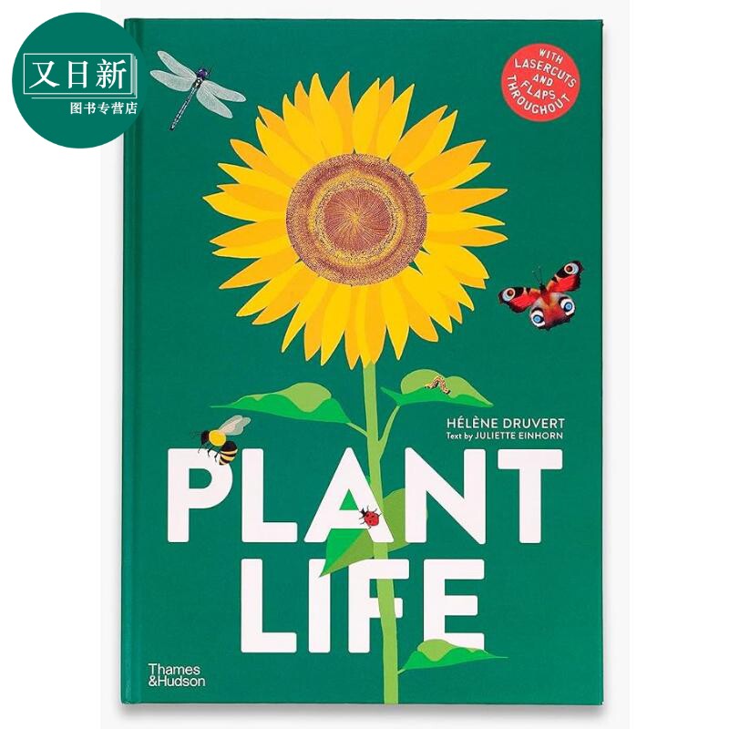 镂空书 植物生长 Plant Life 英文原版 儿童科普绘本 知识百科图画书 精装精品绘本 精美插图 进口儿童科普读物 又日新