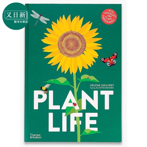 镂空植物生长PlantLife