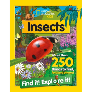 美国国家地理儿童版 昆虫 Find It! Explore It! Insects 英文原版 儿童科普 自然科学知识百科 探索与发现 童书 又日新