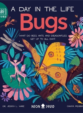 A Day in the Life Bugs 一天的小生活昆虫 英文原版儿童绘本 动物故事 Prabhat 又日新