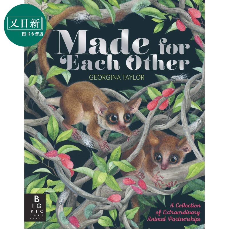 Made for Each Other 天作之合 9岁以上 英文儿童原版精装图书 又日新属于什么档次？