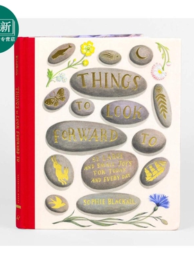 Sophie Blackall 值得期待的事情 Things to Look Forward To 快乐的事 儿童绘本 故事图画书 英文原版 进口图书 又日新