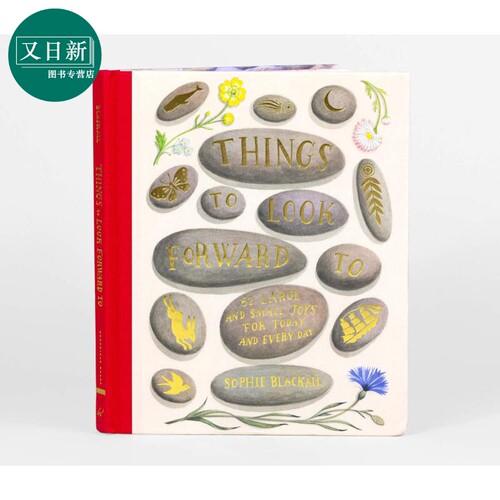 Sophie Blackall 值得期待的事情 Things to Look Forward To 快乐的事 儿童绘本 故事图画书 英文原版 进口图书 又日新