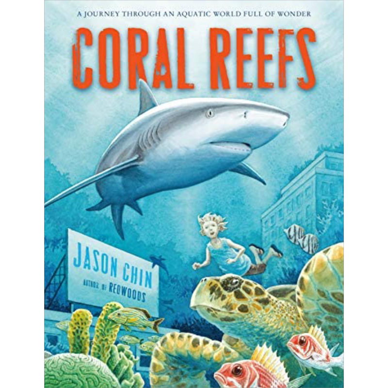 Jason Chin Coral Reefs 大堡礁 陈振盼绘本 英文原版 进口图书 儿童绘本 故事图画书 珊瑚礁 海洋生物动植物绘本 又日新