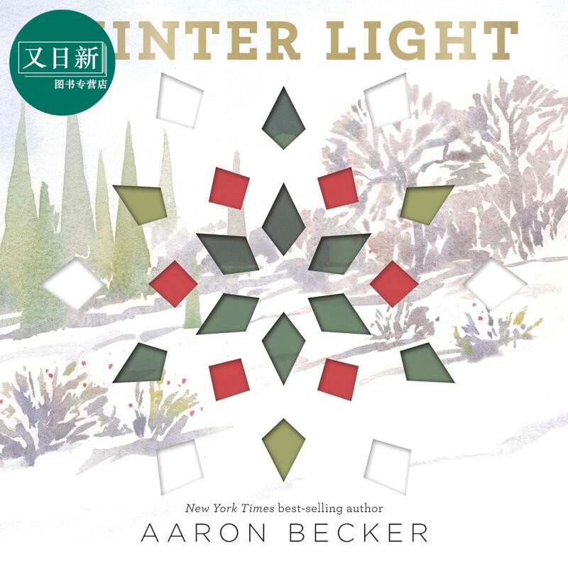 冬日之光 Aaron Becker Winter Light 英文原版 儿童纸板书 亲子绘本读物 进口童书 2-6岁 凯迪克奖获奖作家作品 又日新