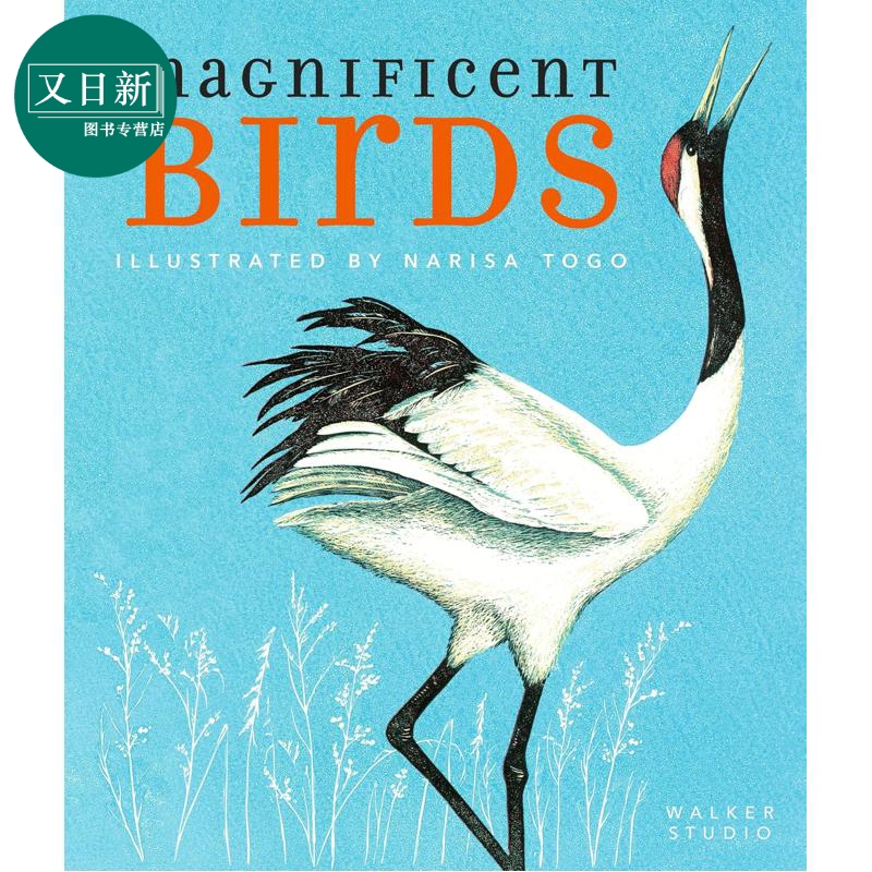 令人赞叹的鸟类英文原版