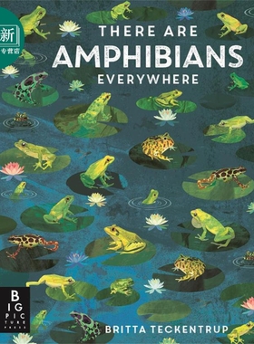 无处不在的两栖动物 Britta Teckentrup There Are Amphibians Everywhere 英文原版 儿童科普动物绘本 进口童书 又日新