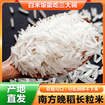 猫牙米现磨现发新米好吃晚稻丝苗长粒香米大米煲仔饭蛋炒饭