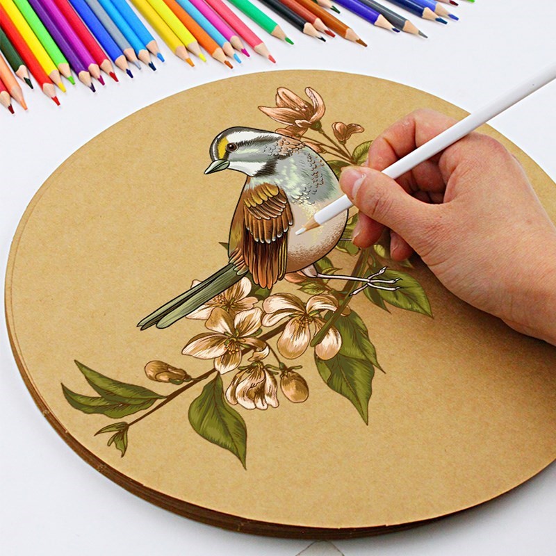 卡纸牛皮纸原色商用加工上班宿舍幼儿园扇型样板画样画纸纸样图