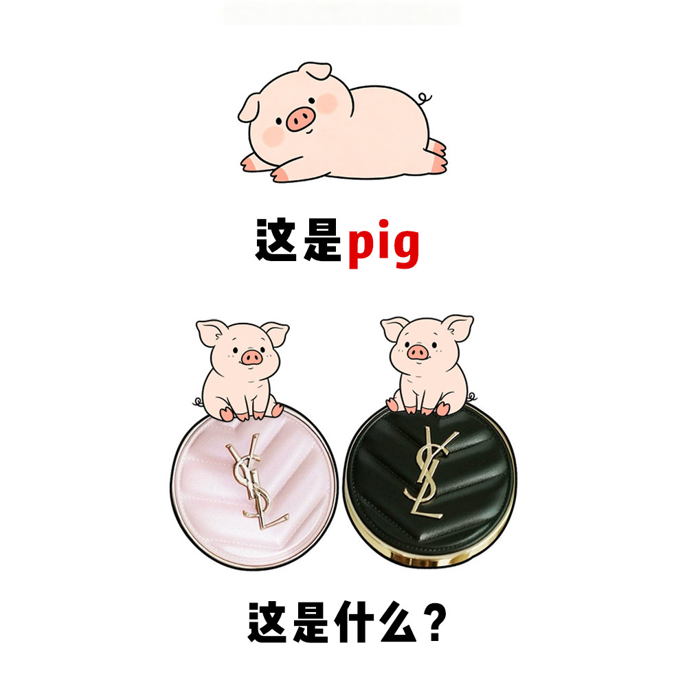 YSL/圣罗兰新品气垫粉底液黑皮革B10 B20粉皮革保湿遮瑕持妆控油图片