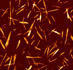 纤维素纳米晶须 磺酸根 硫酸水解 纳米纤维素 CNC 针叶木 5%固含