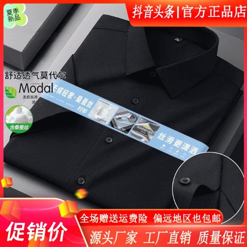 师凯服饰Amphelisia天然莫代尔轻奢无痕长袖衬衫商务男爸爸装衬衣